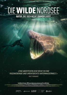 Die wilde Nordsee – Natur, die sich nicht zähmen lässt