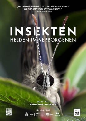 Insekten – Helden im Verborgenen